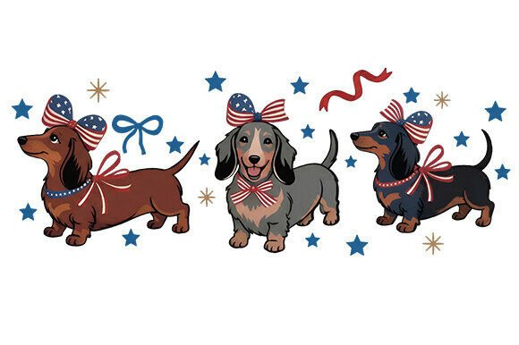 4th of July Dachshund Embroidery Design Review