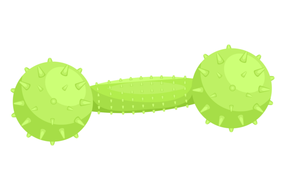 Chewing Bone Toy