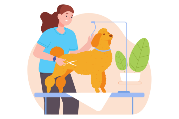 Dog Hairdresser Work. Woman Haircut Dog