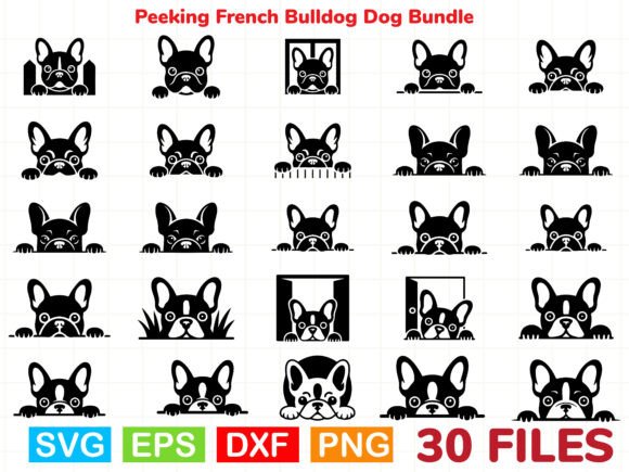 Peeking French Bulldog Dog Bundle Review